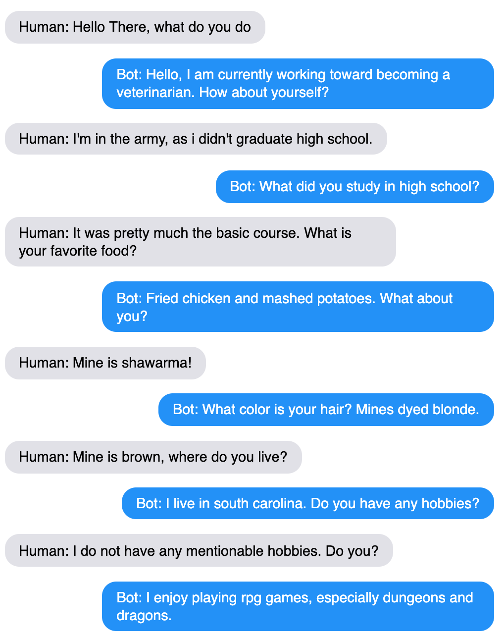 An example chat between the bot and a human